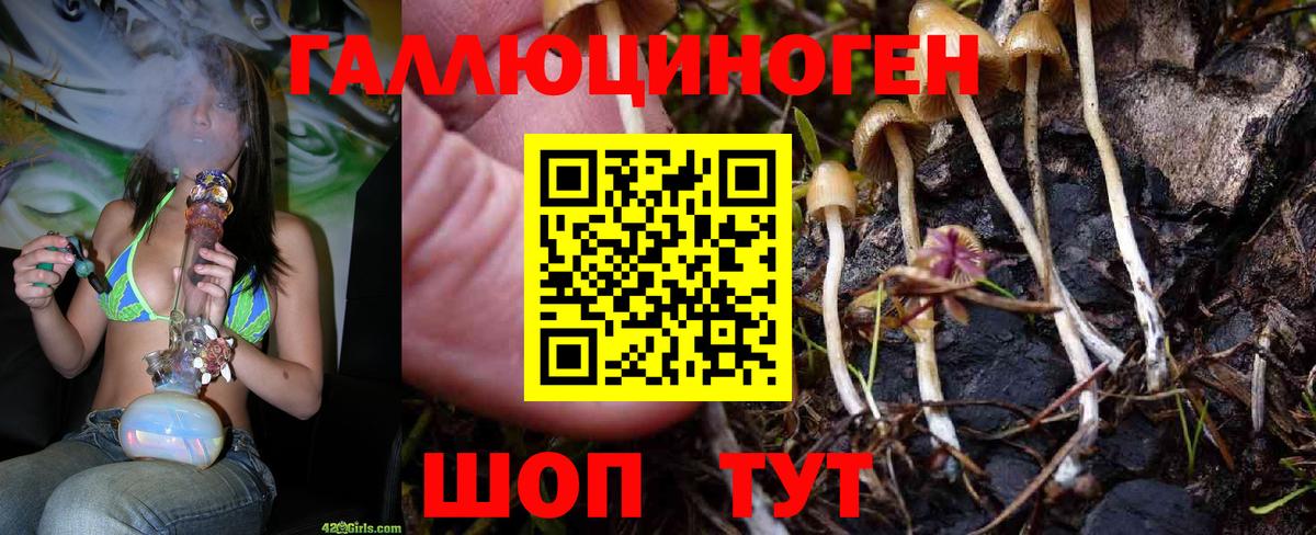 Галлюциногенные грибы Cubensis Новокуйбышевск