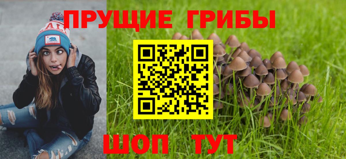 где можно купить наркотик  Псилоцибиновые грибы прущие грибы  Новокуйбышевск  Вход с VPN  Галлюциногенные грибы ЛСД 